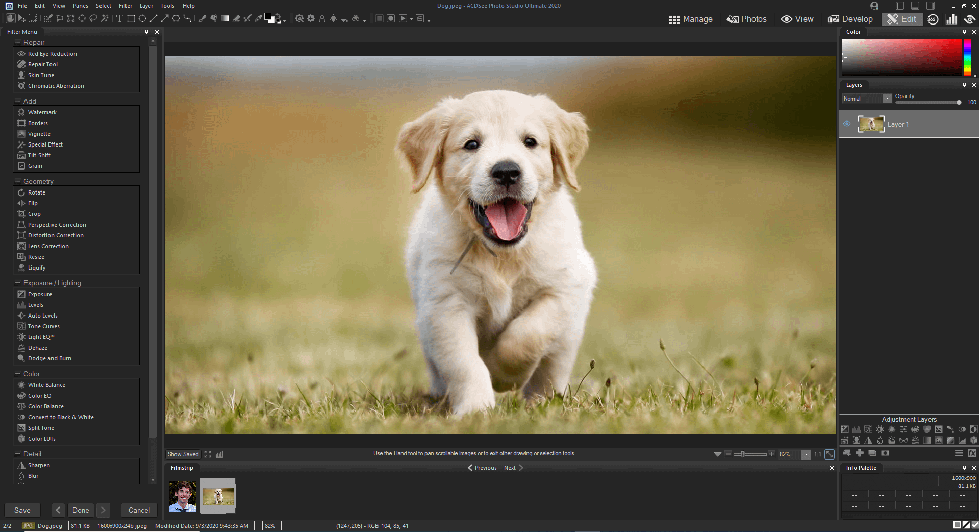 acdsee photo studio professional 2018 review